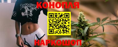крисы Камышлов
