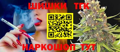 крисы Камышлов