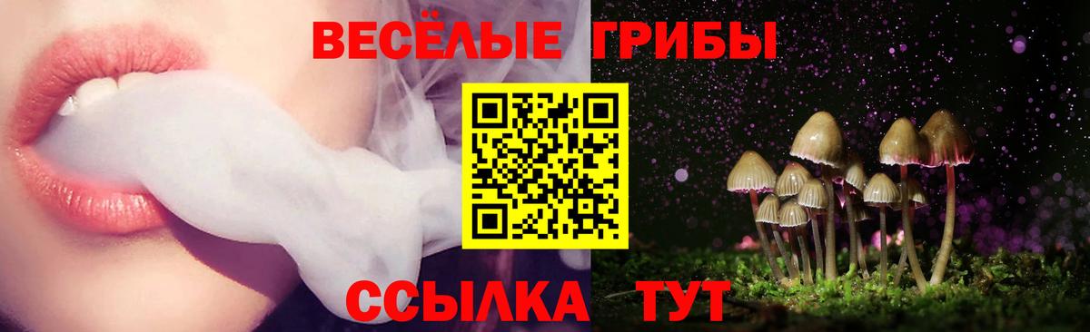 Галлюциногенные грибы ЛСД  Вход с VPN  Дербент 